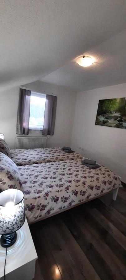 Apartman Karolina Rudanovac Exteriör bild