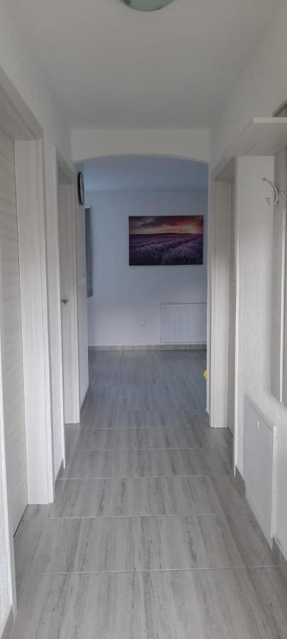 Apartman Karolina Rudanovac Exteriör bild